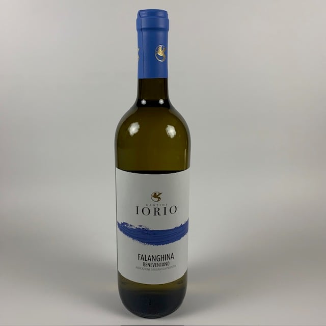 Cantine Iorio Falanghina Beneventano 2024